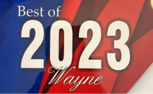Best of 2023 Wayne 